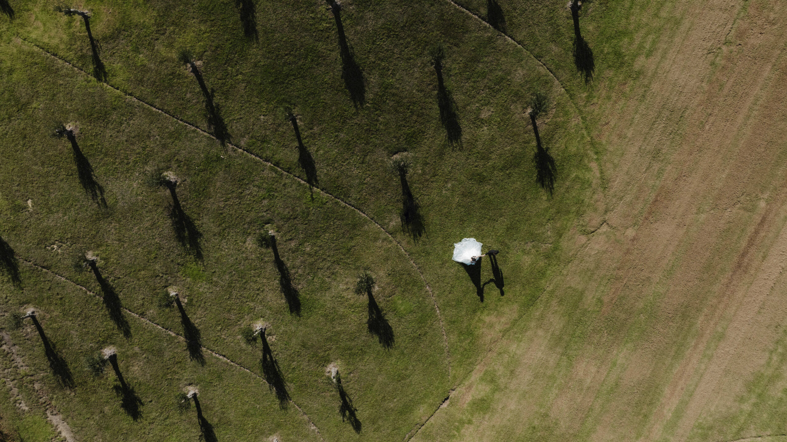 Drone photo on a wedding in Mudbrick Vineyard, New Zealand